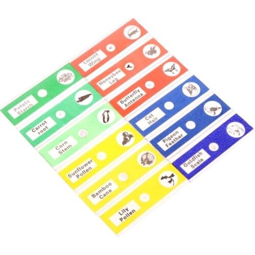 12 Pcs Prepared Microscope Slides Set Specimen for student Basic Biology Education
