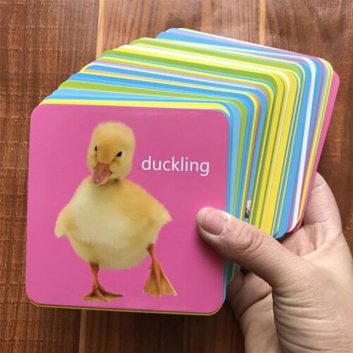 44Pcs Body Parts National Flag/Animal Early English Learing Flash Pocket Card Educational Toys For Children English Word Game