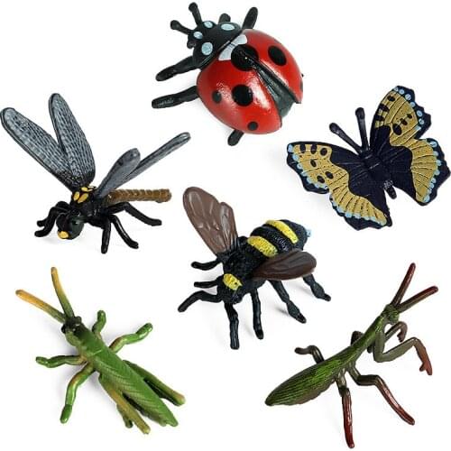 Simulation Animals Growth Cycle Butterfly Ladybug Life Cycle Figurine Plastic Models Action Figures Educational Kids Toy