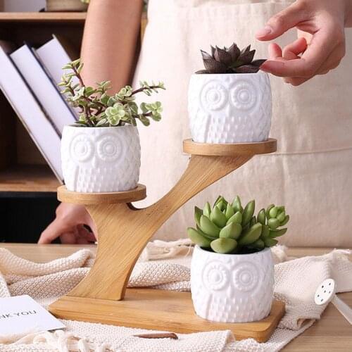 New 1PC Owl Pattern Ceramic Succulent Plant Flower Pot Holder Planter Bamboo Shelf Rack