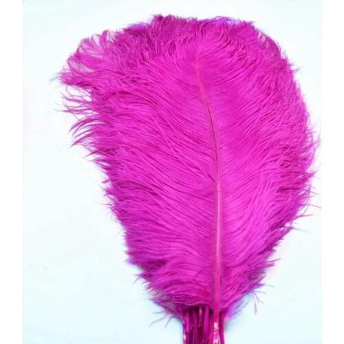 10Pcs Rose red Large Ostrich Feathers Clothing Party Wedding Decoration Plume DIY Natural Big Feather Crafts Home Accessories