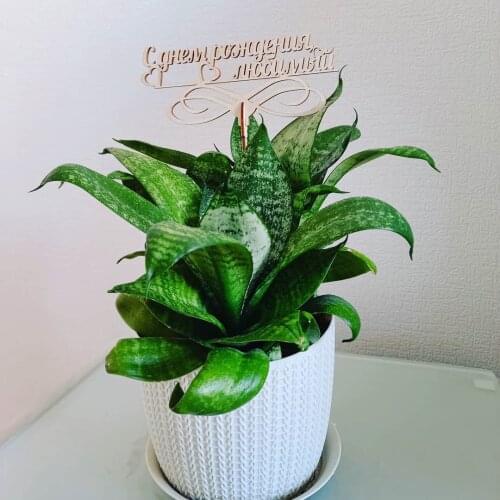 Искусственные цветы для декора BOGATAstudio China At AliExpress