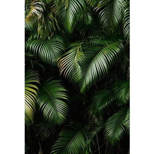 Photography Background Backdrop Green Tropical Leaves For Customized Photoshoot Youtube Videos Outdoor Activities Photo Props