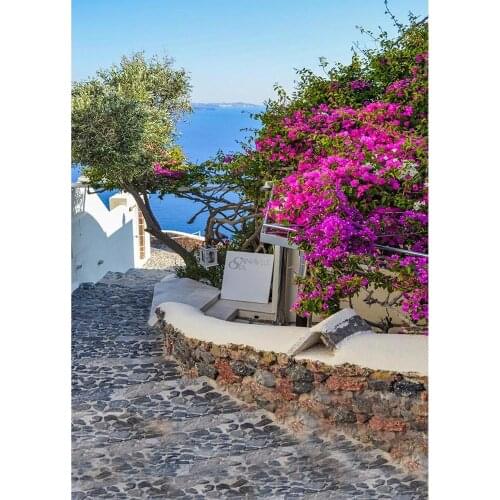 Stone Road Flower Sea Vinyl Cloth Photography Backgrounds Portrait Photographic Backdrops Photo Studio Photobooth Camera Photo