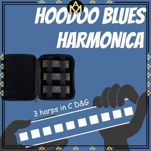 3Pcs/Set Professional Hoodoo Blues Harmonica Standard 10 Holes Harmonica Set For Beginners Mouth Harmonica