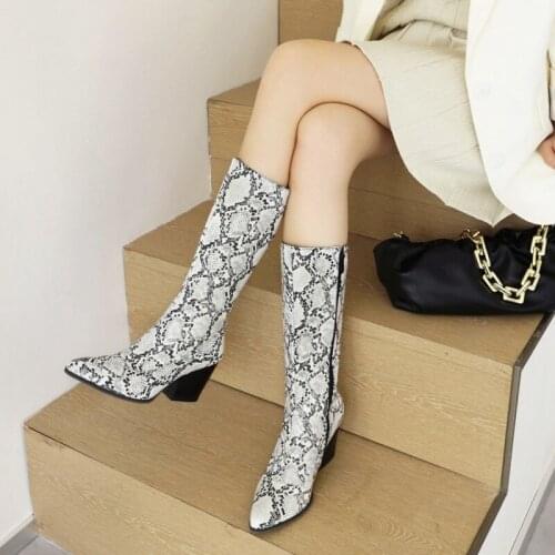 European and American Pointed Thick and Serpentine Boots Girl T-25