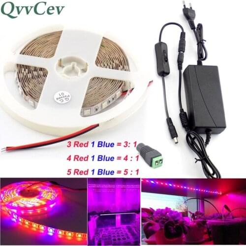 Qvvcev Led Plant Grow Strip Light lamp Waterproof 2M 3M 5M DC 12V 2A/3A Power Adapter for flower indoor greenhouse Aquarium