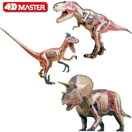 Simulation animal dinosaur Tyrannosaurus Rex Triceratops Raptor organ 4D master puzzle assembly toys Models for medical teaching