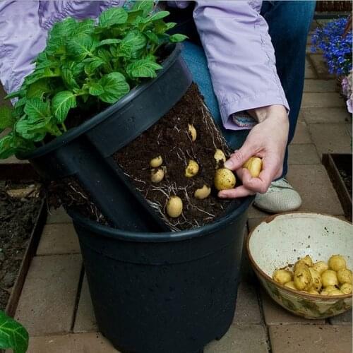 Pocketgarden 1 pcs plastic planter potato pot family garden balcony garden pots of organic vegetables planting bag of potatoes