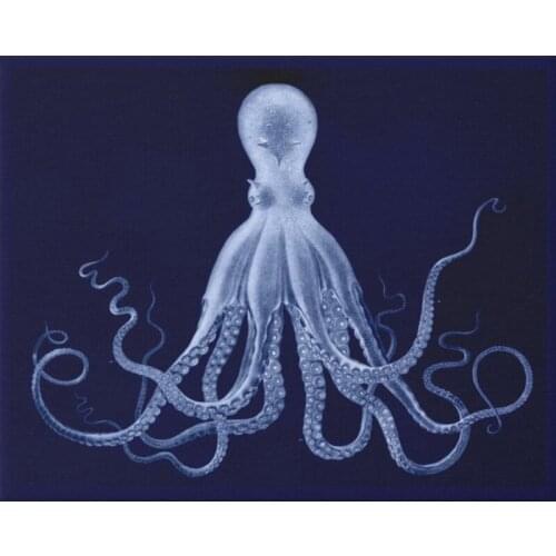 5D DIY Square/Round Diamond Painting Octopus Cross Stitch Diamond Embroidery Needlework home Decoration J0167