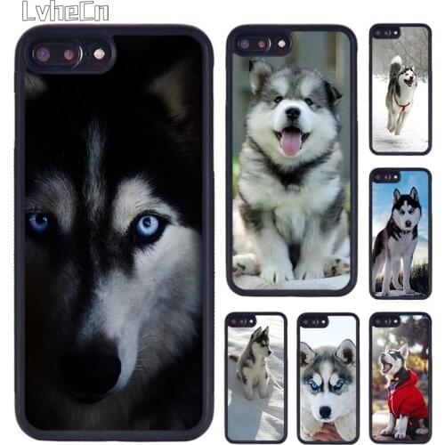 LvheCn Beautiful puppy husky phone Case For iPhone 5 6S 7 8 Plus 11 12 Pro X XR XS Max Samsung galaxy S6 S7 S8 S9 S10 plus