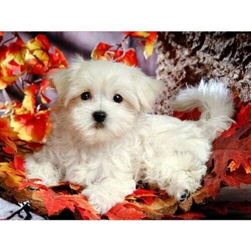 5D DIY Diamond Painting puppy White Dog Full Diamond Embroidery Mosaic Picture of Rhinestones Home Decor Gifts