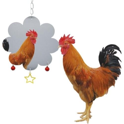 Chicken Toys for Hens Chicken Mirror Toy with Bells Star Pendant for Chicks Roosters Birds Suspensible Chicken Coop Toy