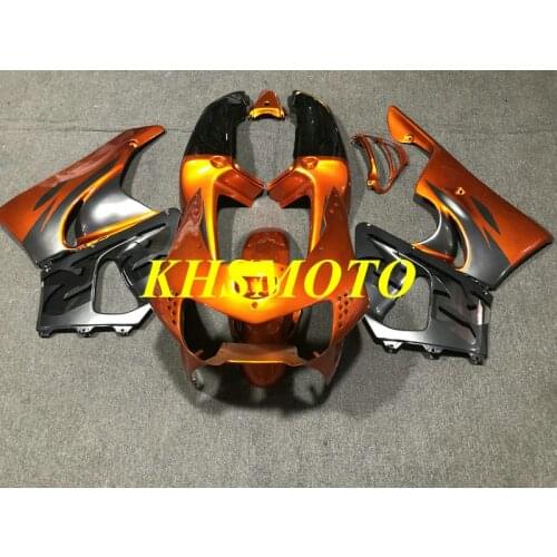 Motorcycle Fairing kit for CBR900RR 98 99 CBR900 919 CBR900RR 1998 1999 CBR 900 RR ABS Red silver Fairings Set+gifts HF72