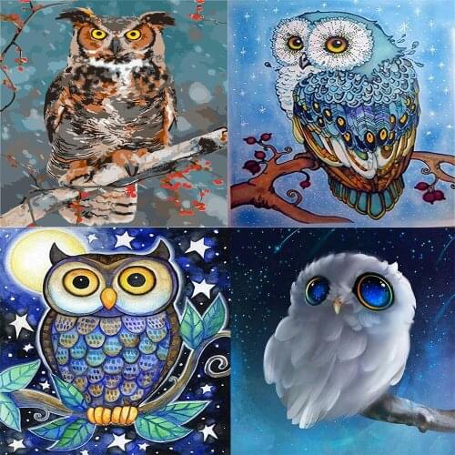 40×50cm Color Owl Animals Diy Painting By Numbers Kit Modern Wall Art Picture Acrylic Paint By Numbers For Christmas Gift