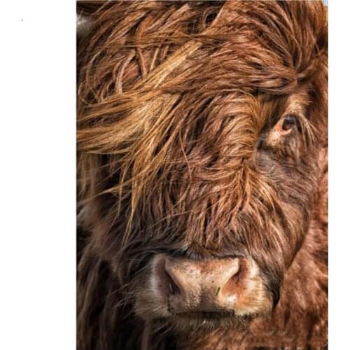 Diamond embroidery stich cross Highland Cow pattern Shaggy Yak Cow diamond painting full drilll rhinestones Animal hobby N539