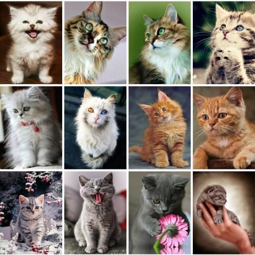 EverShine Diamond Mosaic Cat Cross stitch Diamond Embroidery Animals Picture Rhinestones 5D DIY Art Painting Handicraft Gift