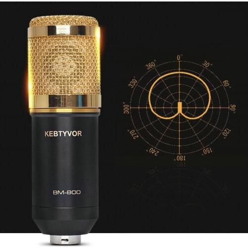 Professional BM800 Condenser Microphone Cardioid Audio Studio Vocal Record Mic with Metal Shock Mount for PC KTV Studio Room