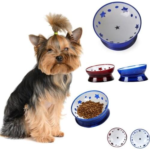 Pet Dog Bowl Non-slip Wear Resistant Crystal Art Resins Safe Non-toxic Cat Dog Bowl and Cutlery Pet Feeder Tilted Cat Bowl