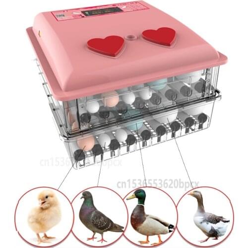 Pink Intelligent Incubator automatic Hatching Box Egg Incubators Mini Digital Poultry Hatcher Machine for Various eggs