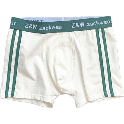 3 Pieces Mens Panties Men Boxer Shorts Fashion Solid Color Mens Underwear Boxers Cotton Summer Breathable Underpants 2021 New