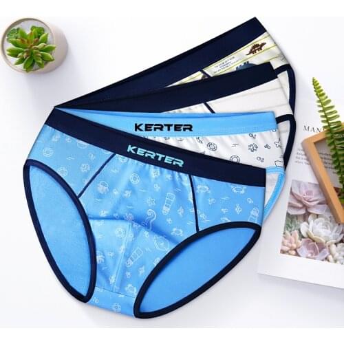 4pcs Cotton Boys Underwear Kids Blue Briefs Boys Cartoon Panties Boys Clothes for 3 4 6 8 10 12 Years Old OMG183004