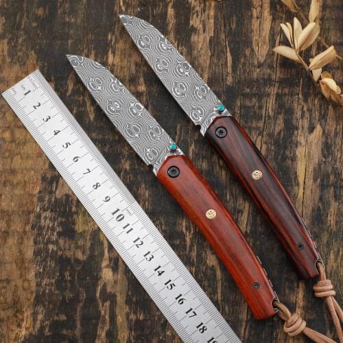 Petrified fish PF719DM 110 Layer Damascus steel Blade wooden handle folding knife outdoor camping pocket edc tools fruit knives