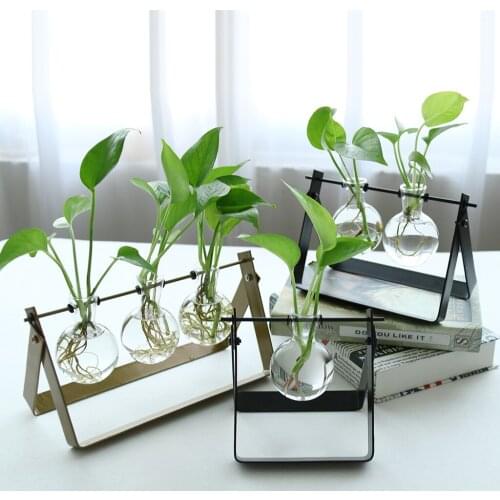 3Styles Ball Shape Glass Flower Vase Hydroponic Bottle Terrarium With Iron Stand NEW