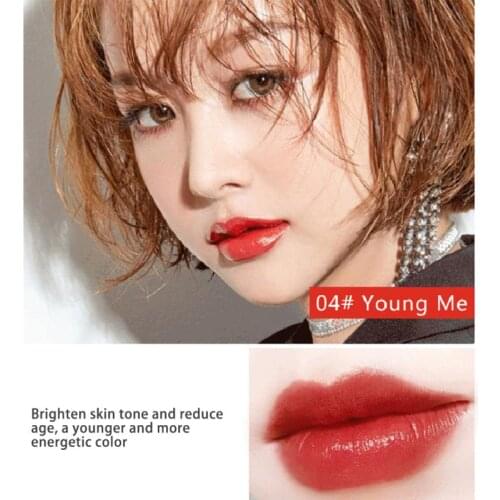 Moisturizing Lipstick Cosmetic Matte Velvet Lip Gloss Waterproof Sexy Red Lip Stick Lip Tint For Women Makeup Longlasting TSLM2