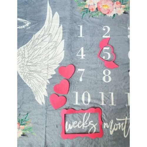 Newborn Photo Blanket Baby Kids Milestone Monthly Background Cloth P31B