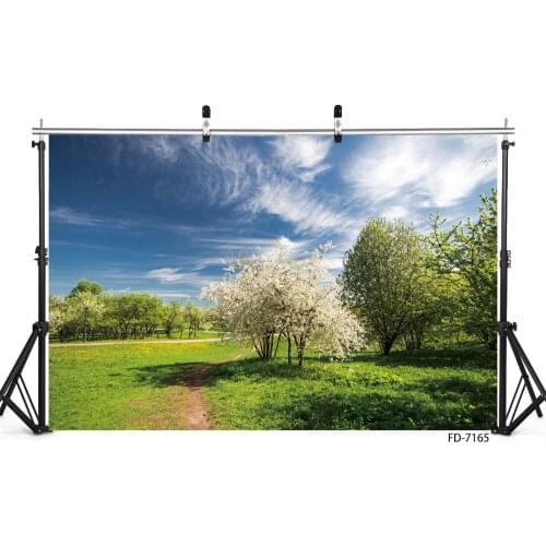 Spring Tree Grassland Photography Background For Photo Studio Props Children Portrait Dolls Computer Printed Backdrop Photobooth