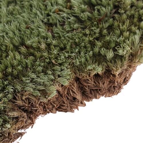 Greenery Scenery Moss Lichen Model for 1/35 Miliatry Sand Armor Building Toy