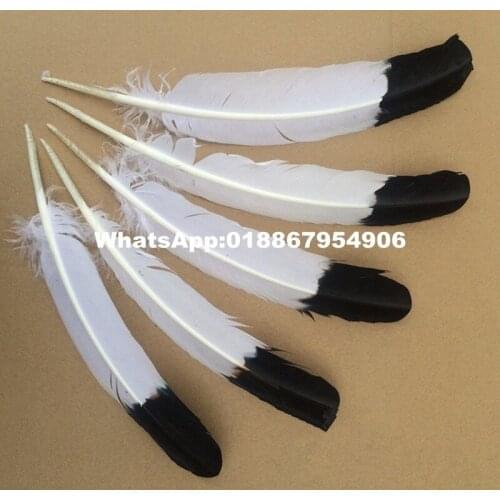 EMS fast shiping 500pcs/lot two tone dyed tukey Rounds Quill feather wings 25-35cm long white with colorful tips 8 colors