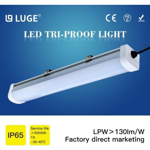 QDLUGE Professional Lighting