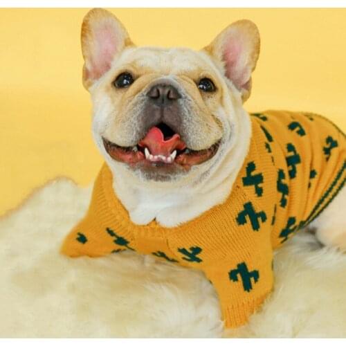 Pet Winter Turmeric Cactus Pattern Sweater Comfortable Warm Suitable for Pet Daily Wear High-quality Dog Clothes Sweaters New