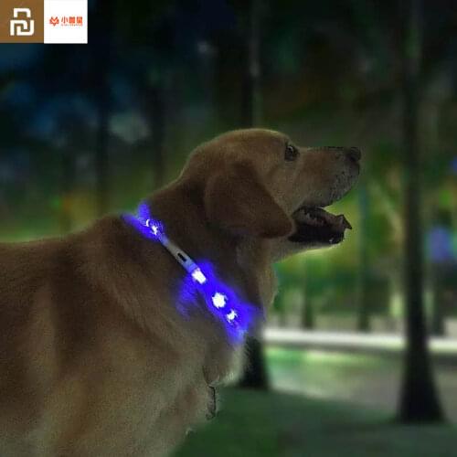 Youpin Pet Light Collar Waterproof xl81-5001 Anti-lost Tag LED Warning Lighting USB Charging Collar for Dog