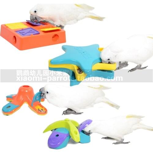 Parrot foraging fun box Puppy Dog Food Treat Dispensing Boredom Interactive Game Puzzle Training Toys