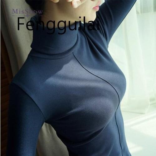 Sweater Female Soft Korean Style Skinny Winter Turtleneck Women Bodycon Basic Pullovers Long Sleeve Pull Femme Coat Female Top
