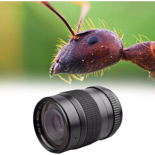 Lightdow 60mm F2.8 f/2.8 2:1 Super Macro Manual Fixed Focus Lens for Cannon 550D 650D 1000D 750D 77D 80D 5D4 Nikon DSLR Cameras