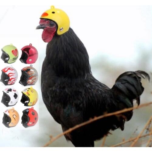 Hens Ducks Pet Protective Helmet Cap Pet Protective Gear Sun Rain Protection Helmet Toy Small Pet Supplies Costumes Accessories