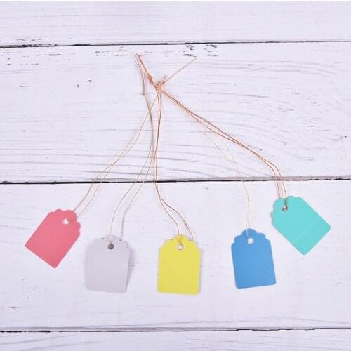 100pcs Waterproof Strip Line Plant Labels Plants Hang Tag Hanging Tags Flower Pot Marker Signs Garden Decoration Gardening Tools