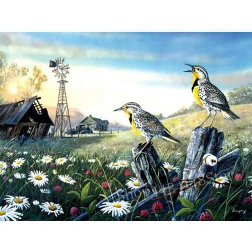 Full square / round drill 5d diamond painting bird flower landscape mosaic rhinestone embroidery home decoration