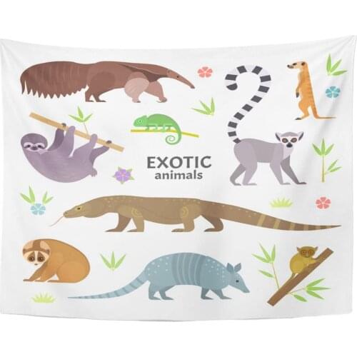 Exotic Animals with Flat Including Anteater Ring Tailed Lemur Loris Sloth Komodo Monitor Lizard Armadillo Tapestry Home Decor