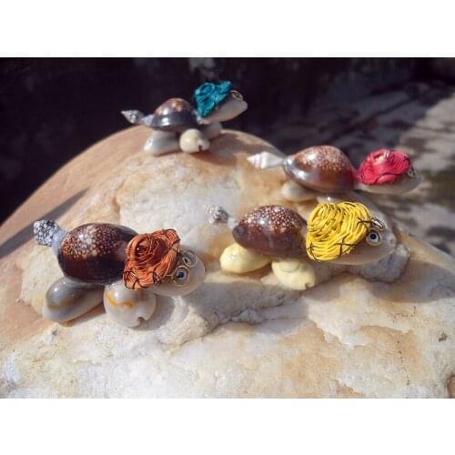 HappyKiss 2 pcs Natural shell turtle Dr Conch small tortoise jewelry conch DIY turtle turtle decoration crafts