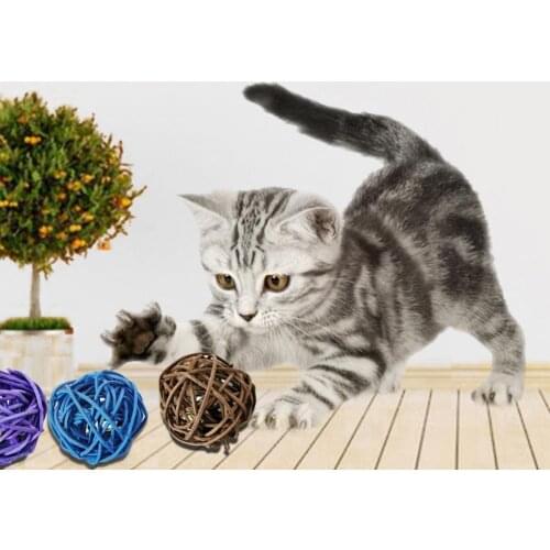 Rattan Ball With Bell Cage Shape Portable Cat Rattan Ball for Home