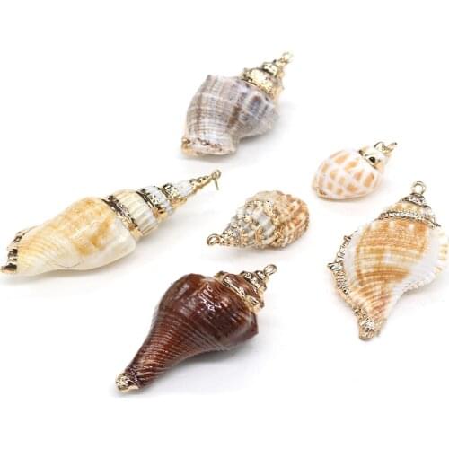 6 Pieces New Natural Shell Pendants 6 Styles Shell Charms for DIY Jewelry Making Necklace Bracelets Size 25x40-30x45mm