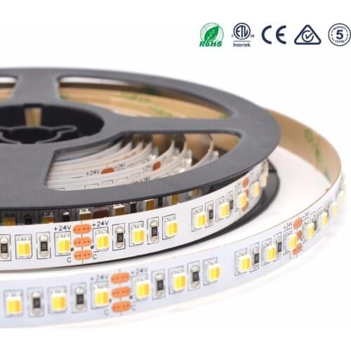 3528 2in1 chip color changing led strip Tunable CCT dual white led tape light ST9