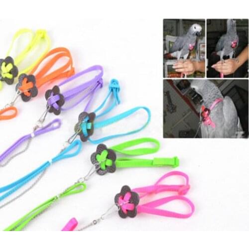 Colorful Parrot Bird Collar Harness Adjustable Hamster Turtle Lizard Traction Rope Reins 8-shaped Collar Pet Strap Leash