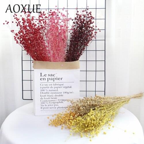 Acacia Dried Bean Flower Wealthy Bean Flax Material Gypsophila Immortal Flower Material DIY Gift Box Home Living Room Decoration