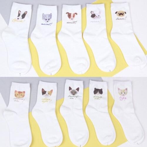 Drop Ship Silk Velvet Socks Animal Cactus Spotted Border Collie Foxhound Dog Three Felinae Home Cat Ice Cream Popsicle Eye